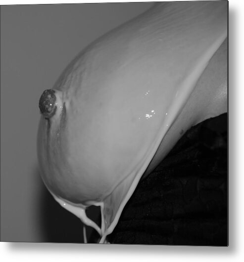 Milk Metal Print featuring the photograph B W Breast Milk by Rob Hans