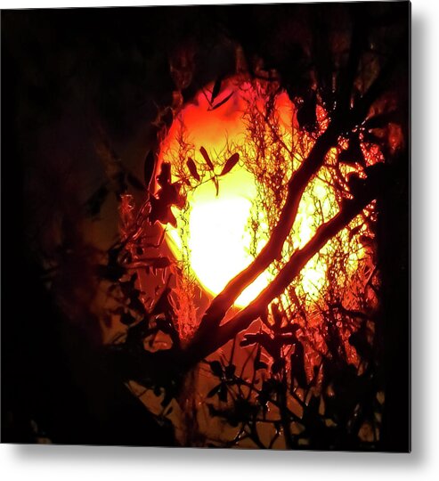 Sun Metal Print featuring the photograph Fireball by Gena Herro