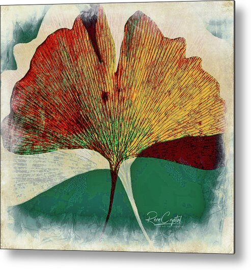 Leaves Metal Print featuring the photograph Ginkgo de Mayo by Rene Crystal