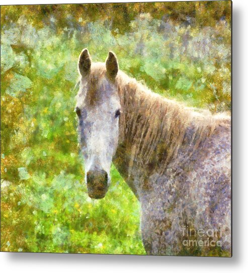 Horse Metal Print featuring the painting Horse by Alexa Szlavics
