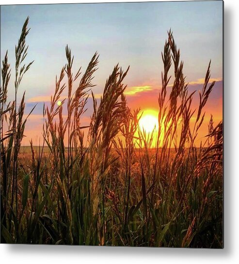 Iphonography Metal Print featuring the photograph Iphonography Sunset 5 by Julie Powell