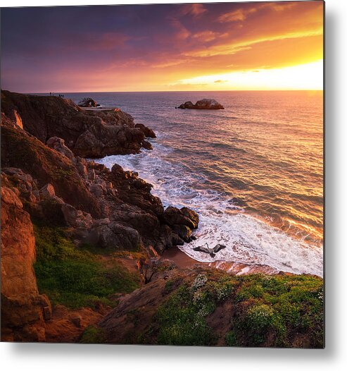  Metal Print featuring the photograph Jurassic Park by Louis Raphael