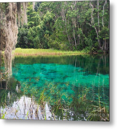 Spring Metal Print featuring the photograph Rainbow Springs State Park by L Bosco
