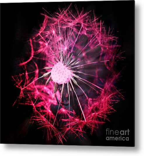 Dandelion Metal Print featuring the photograph Sparklers Sticks by Chris Bee