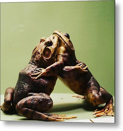 Hug Metal Print featuring the photograph Wrestling Hugging Frogs by Vicki Noble