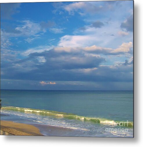 Vero Beach Metal Print featuring the photograph Natures Beauty by D Hackett