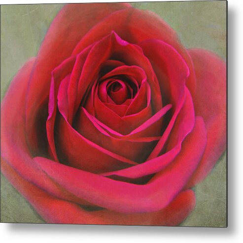 Rose Metal Print featuring the photograph Red Rose Macro #2 by Sandi OReilly
