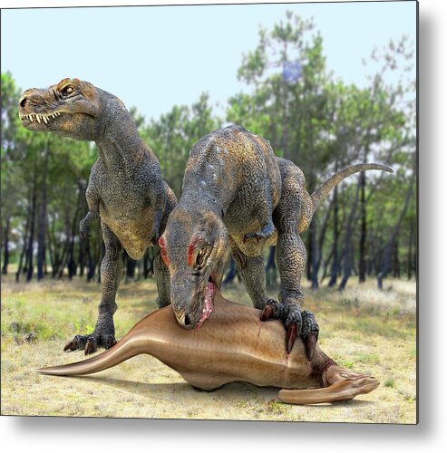 Parasaurolophus Metal Print featuring the photograph Tyrannosaurus Rex Dinosaurs by Roger Harris