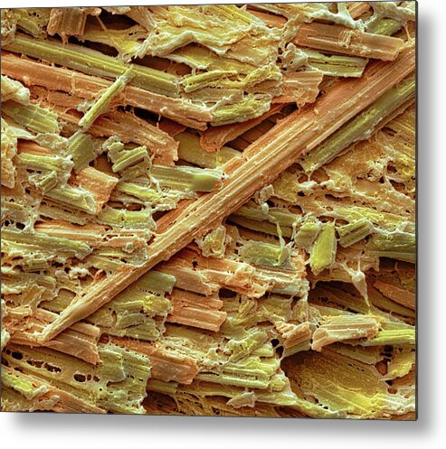 Uric Acid Metal Print featuring the photograph Uric Acid Crystals #3 by Steve Gschmeissner