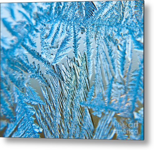 Frost Metal Print featuring the photograph 3D Window Wonder by Cheryl Baxter