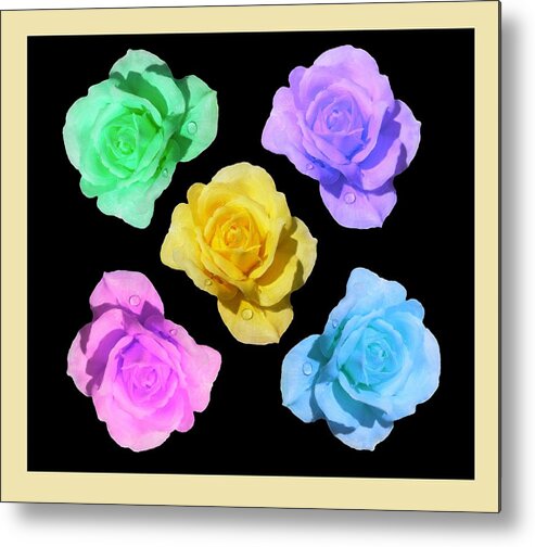 Pink Metal Print featuring the painting Beautiful Roses by Bruce Nutting