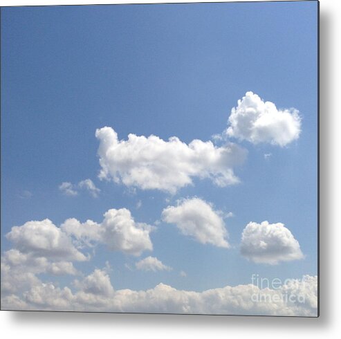 Blue Skies Metal Print featuring the photograph Blue Skies by M West
