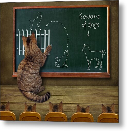 Humor Metal Print featuring the photograph Cat Teacher And His Pupils... :) by Iryna Kuznetsova (iridi)