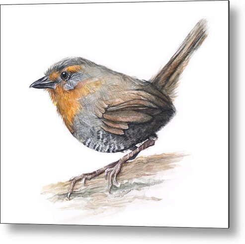 Chucao Metal Print featuring the painting Chucao Tapaculo Watercolor by Olga Shvartsur