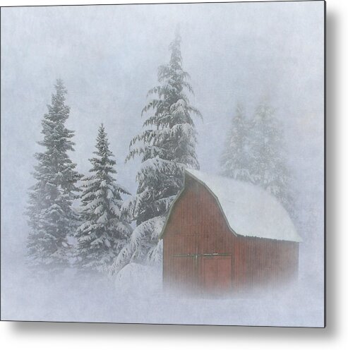 Winter Metal Print featuring the photograph Country Winter by Angie Vogel