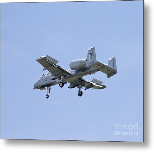 A-10 Metal Print featuring the photograph Dirty Hawg by Tim Mulina