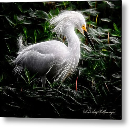 Egret Metal Print featuring the photograph Fancy Feathers by Lucy VanSwearingen