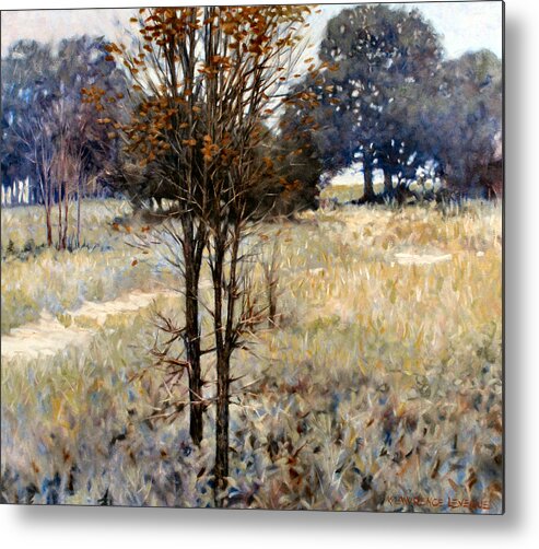 Landscape Metal Print featuring the painting Feathery Field by Kevin Leveque