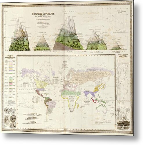 Botanical Geography Metal Print featuring the photograph Global Botanical Geography by Library Of Congress, Geography And Map Division