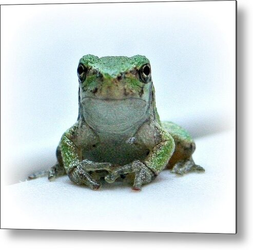 Frog Metal Print featuring the photograph Going Forward by Barbara S Nickerson