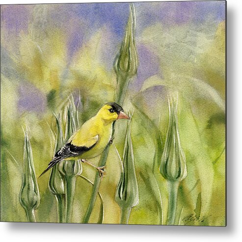 Golden Finch Metal Print featuring the painting Golden Finch by Alfred Ng