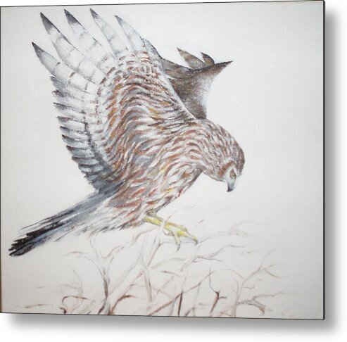 Harrier Metal Print featuring the painting Harrier Hen by Barbara Anna Cichocka