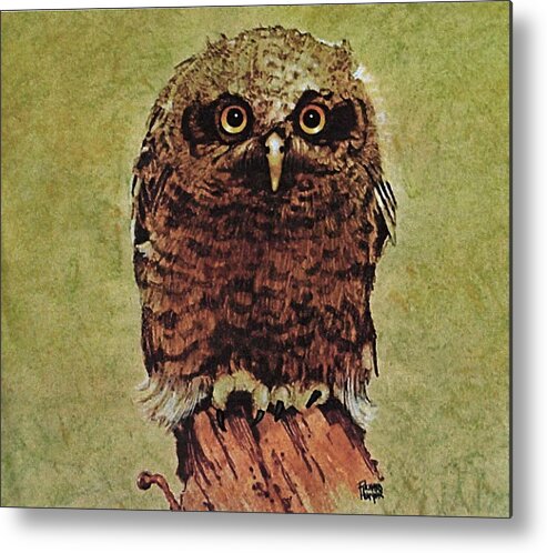 Baby Owlet Metal Print featuring the painting Here's looking at You by Richard Hinger