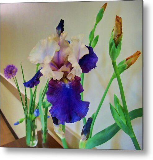 Iris Metal Print featuring the photograph Iris #15 by John Derby