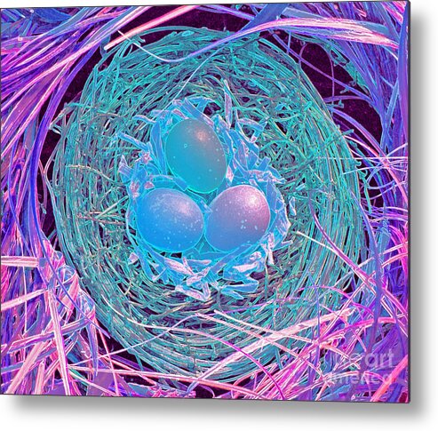 First Star Art Metal Print featuring the photograph Magical Eggs by jrr by First Star Art