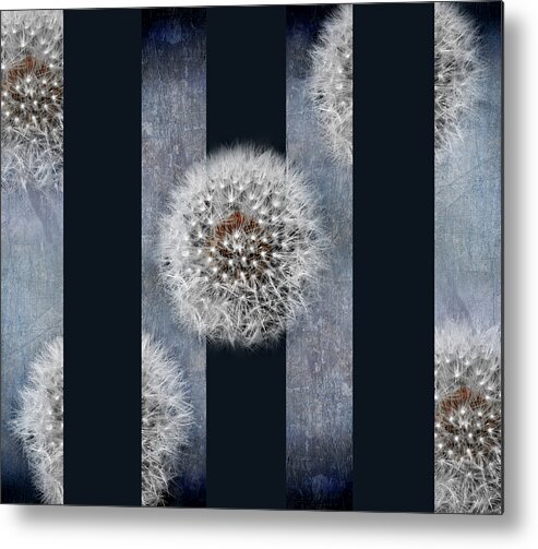 Circle Metal Print featuring the photograph Modern Dandelion by Steven Michael