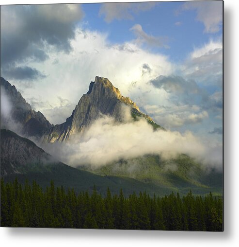 Feb0514 Metal Print featuring the photograph Opal Range In Fog Kananaskis Country by Tim Fitzharris