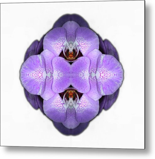Tranquility Metal Print featuring the photograph Orchid by Silvia Otte