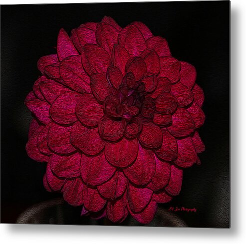 Dahlia Metal Print featuring the photograph Ornate Red Dahlia by Jeanette C Landstrom