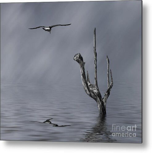 Solitude Metal Print featuring the photograph Peace by Shirley Mangini