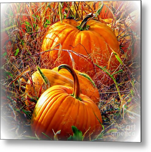 Fall Metal Print featuring the photograph Pumpkin Patch by Michelle Frizzell-Thompson