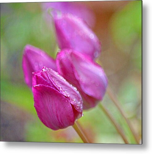Art Metal Print featuring the photograph Purple Tulips by Joan Han