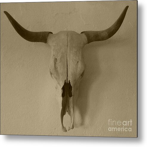 Skull Metal Print featuring the photograph Sepia Skull by Barbie Corbett-Newmin