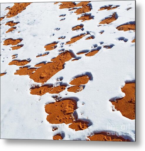 Landscape Metal Print featuring the digital art Snow on Dunes by Tim Richards