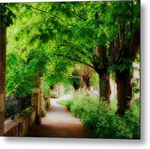 Pathway Metal Print featuring the photograph Softly Dreaming by Marilyn Wilson