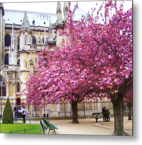  Metal Print featuring the photograph Springtime in Paris by Christiane Kingsley