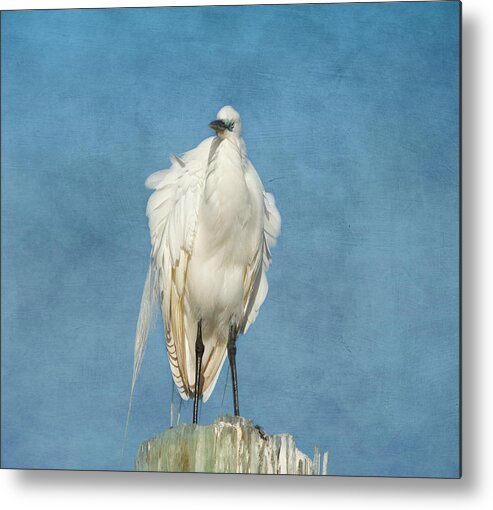 Egret Metal Print featuring the photograph The Great One by Kim Hojnacki
