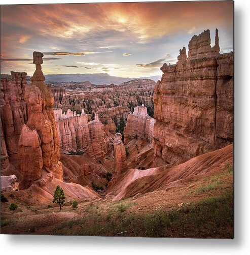 Tranquility Metal Print featuring the photograph Thors Hammer Rock Hoodoos, Bryce by Ignacio Palacios