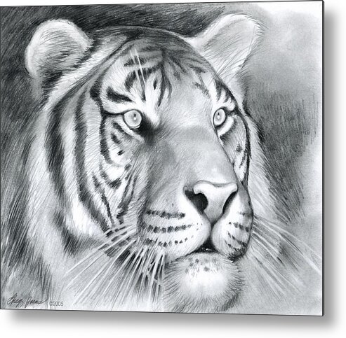 Tiger Metal Print featuring the drawing Tiger by Greg Joens