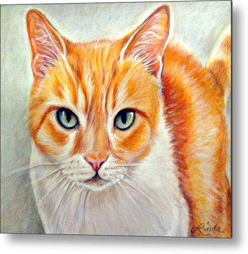 Cat Metal Print featuring the drawing Tippy by Linda Nielsen