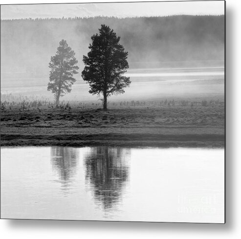 Fog Metal Print featuring the photograph Two Trees by Claudia Kuhn
