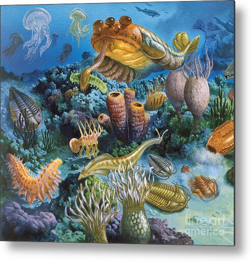 Illustration Metal Print featuring the photograph Underwater Paleozoic Landscape by Publiphoto