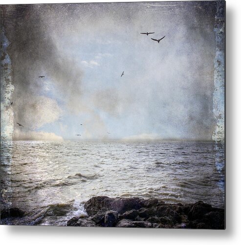 Birds Metal Print featuring the photograph Voice of the Sea by Michele Cornelius