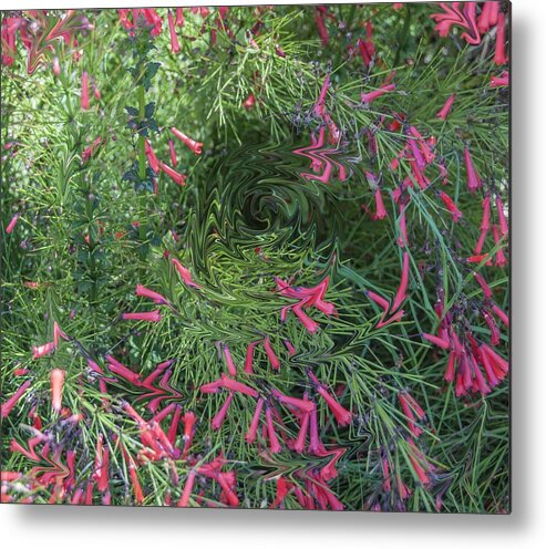 Impressionism Metal Print featuring the photograph Where have all the flowers gone? by Edward Shmunes