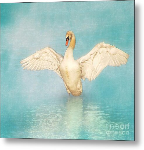 Swan Metal Print featuring the photograph White Angel by Hannes Cmarits