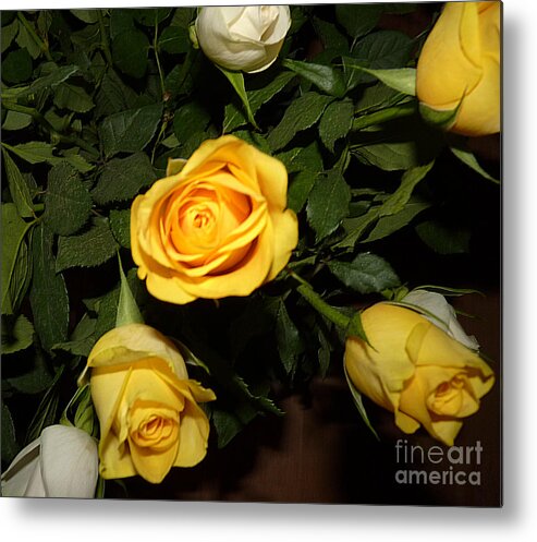 Yellow Metal Print featuring the photograph Yellow and white Roses by Eva-Maria Di Bella